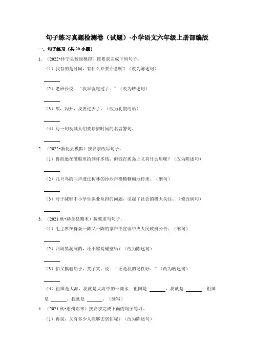 句子练习真题检测卷(试题)-小学语文六年级上册部编版