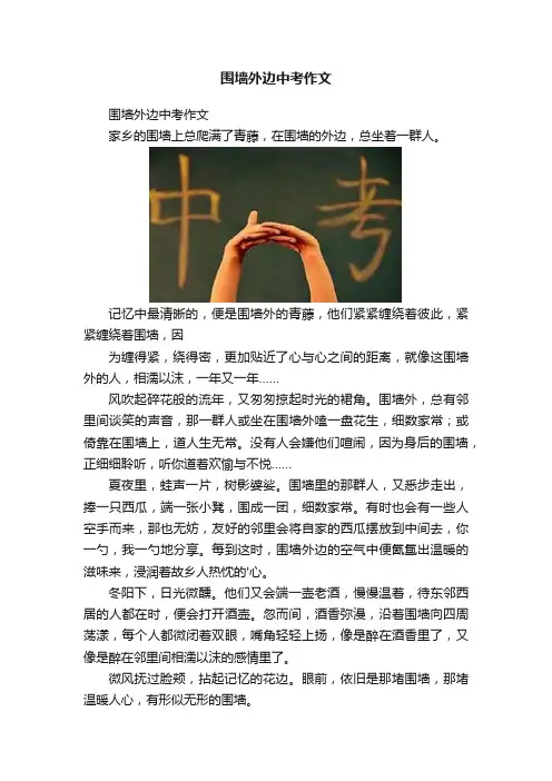 围墙外边中考作文