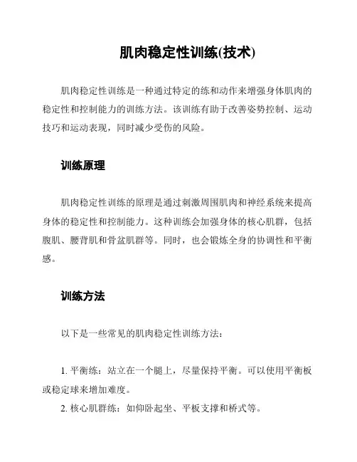肌肉稳定性训练(技术)