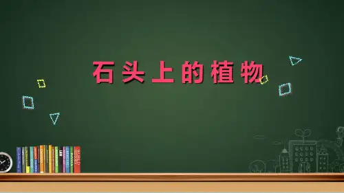 苏教版三年级下册科学3.8石头上的植物课件