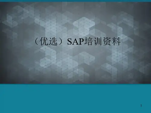 (优选)SAP培训资料