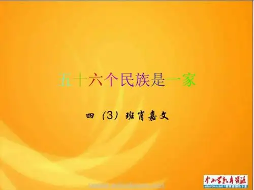 苏教版思品八下《民族情 民族魂》(第2框)ppt课件1
