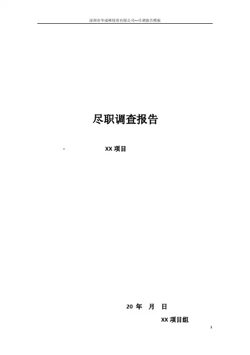 尽职调查报告-模板