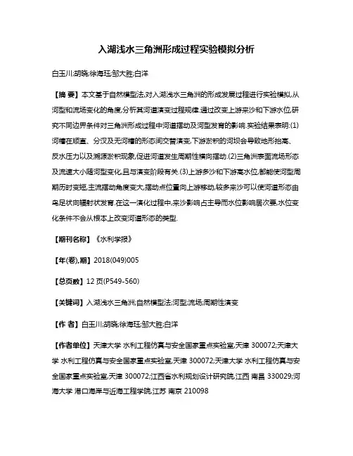 入湖浅水三角洲形成过程实验模拟分析