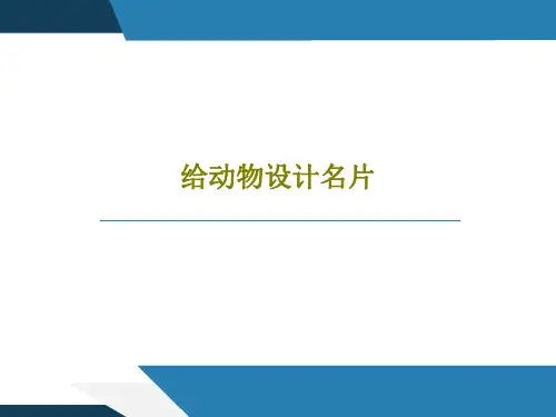 给动物设计名片PPT37页