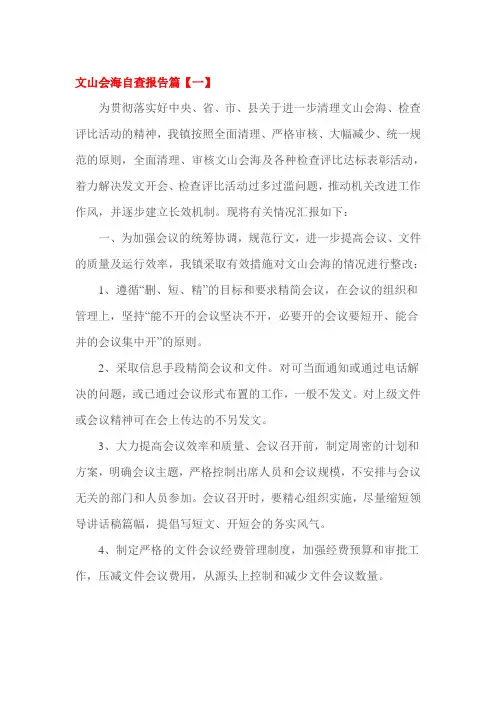 文山会海自查报告篇