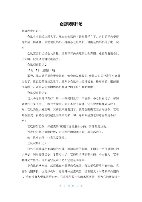 仓鼠观察日记
