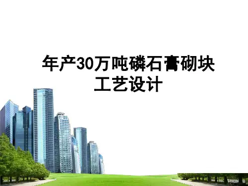 年产30万吨磷石膏砌块工艺设计