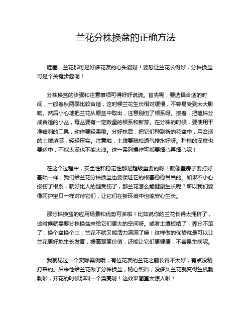 兰花分株换盆的正确方法
