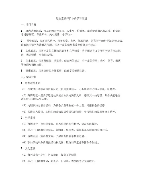 综合素质评价中的学习计划