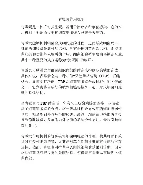 青霉素作用机制