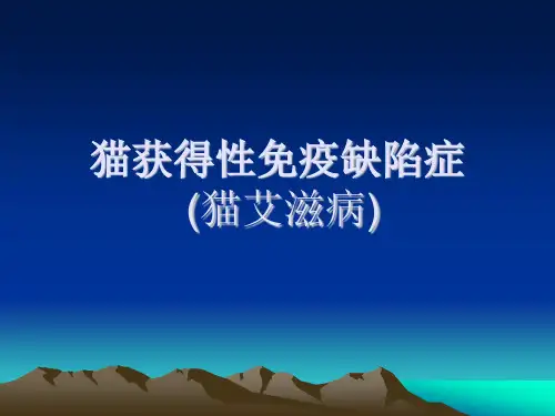 猫获得性免疫缺陷症