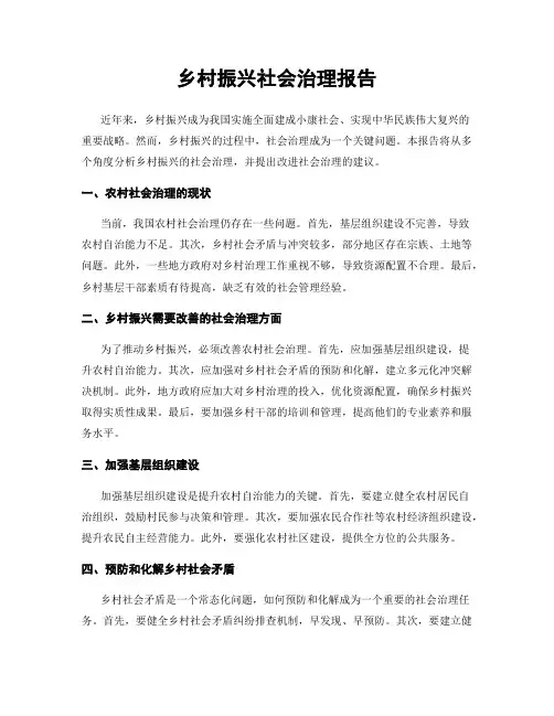 乡村振兴社会治理报告