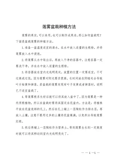 莲雾盆栽种植方法