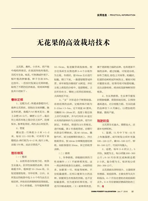 无花果的高效栽培技术
