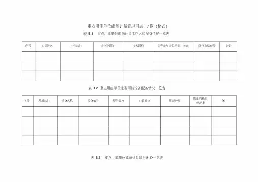 重点用能单位能源计量管理用表