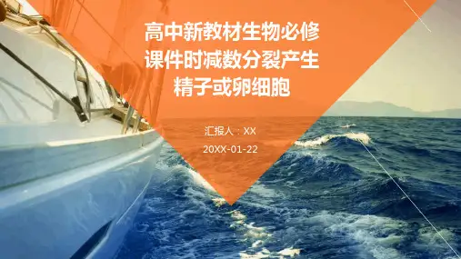 高中新教材生物必修课件时减数分裂产生精子或卵细胞