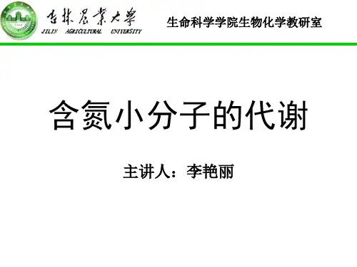 含氮小分子的代谢