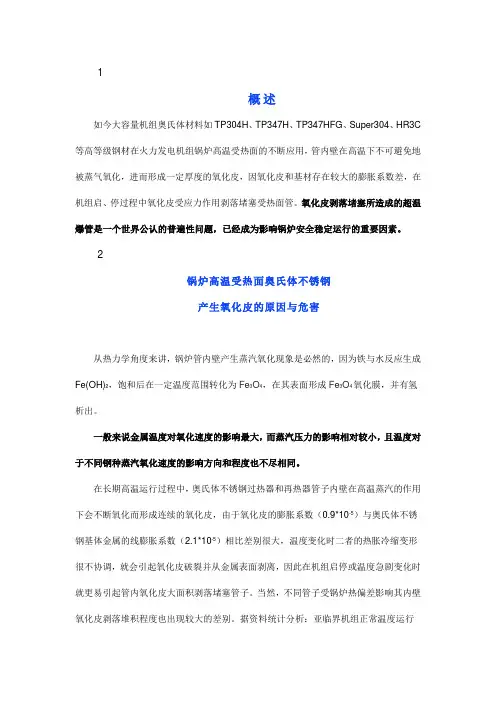锅炉高温受热面氧化皮检测新技术的应用