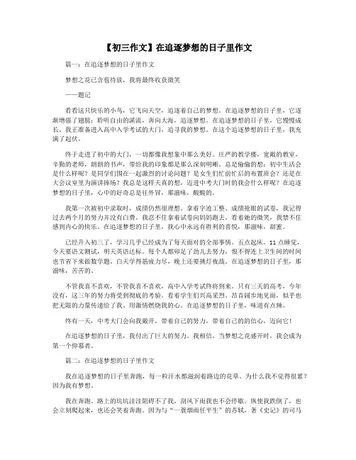 【初三作文】在追逐梦想的日子里作文