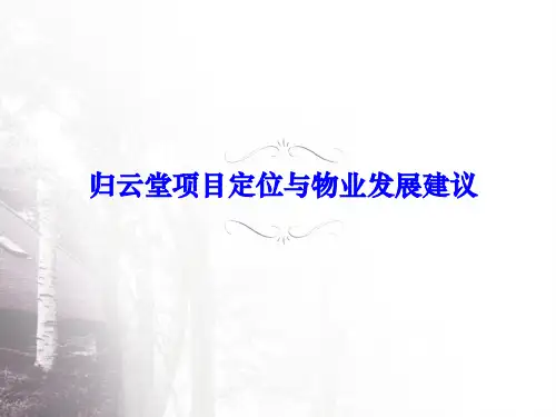 某某房地产项目定位与物业发展方案