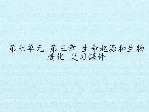 生命起源和生物进化 复习课件