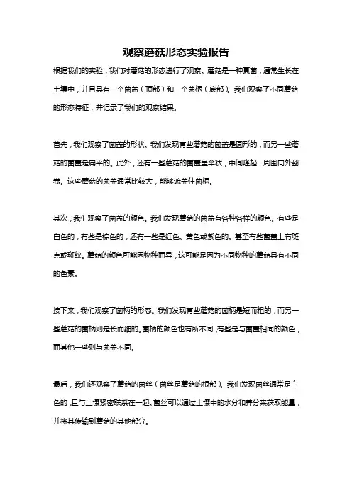 观察蘑菇形态实验报告