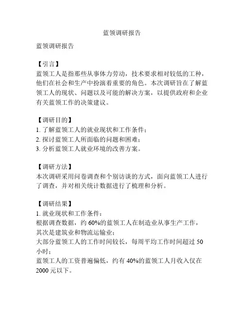 蓝领调研报告