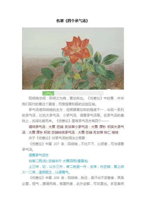 伤寒《四个承气汤》