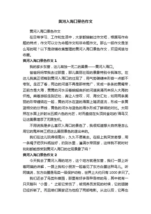 黄河入海口景色作文