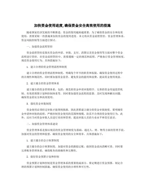 加快资金使用进度,确保资金安全高效使用的措施