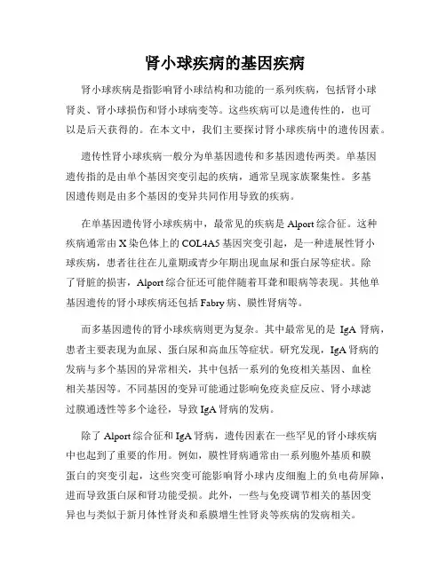 肾小球疾病的基因疾病