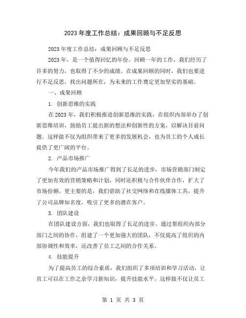 2023年度工作总结：成果回顾与不足反思