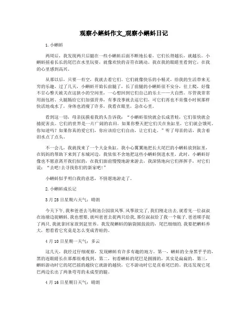 观察小蝌蚪作文_观察小蝌蚪日记