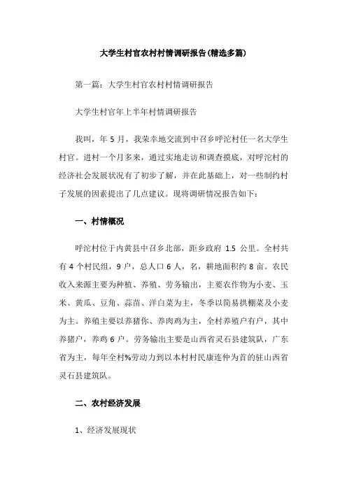 大学生村官农村村情调研报告