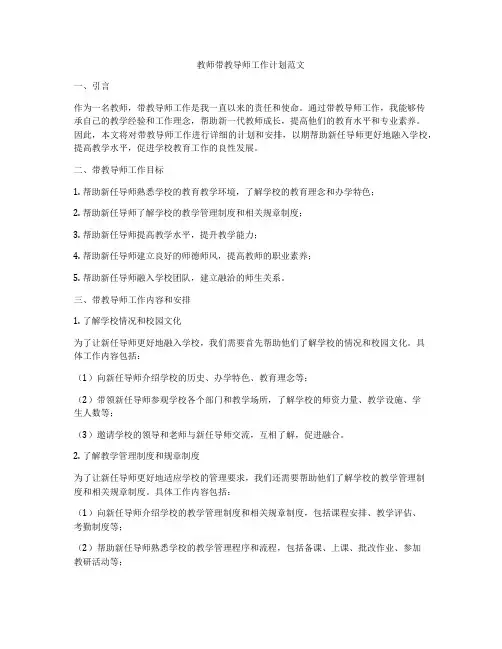 教师带教导师工作计划范文