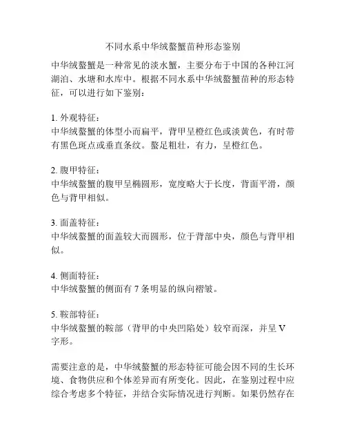 不同水系中华绒螯蟹苗种形态鉴别