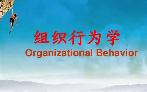 组织文化与组织行为