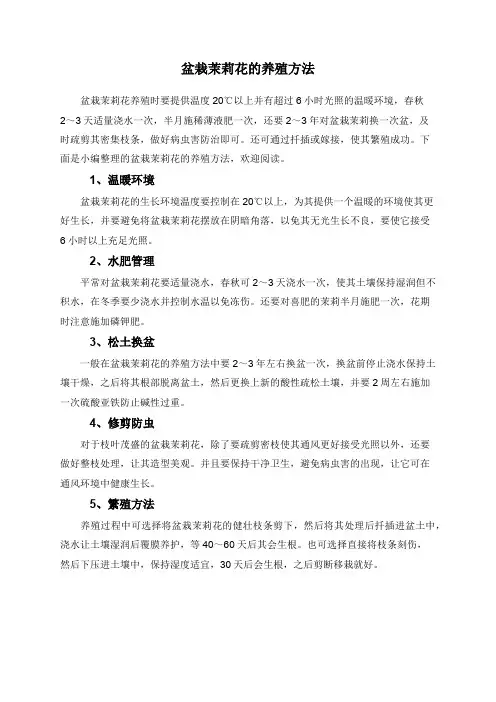 盆栽茉莉花的养殖方法