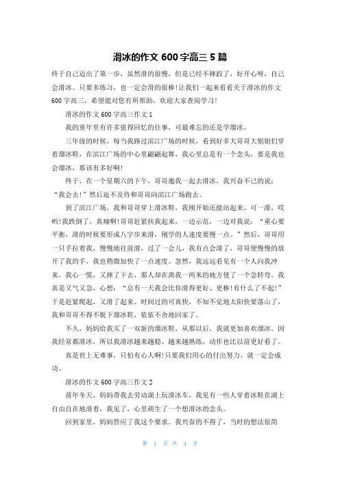 滑冰的作文600字高三5篇