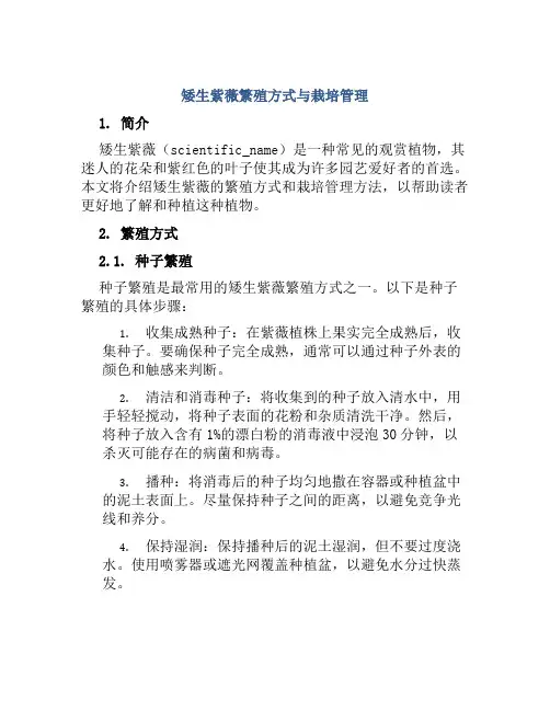 矮生紫薇繁殖方式与栽培管理