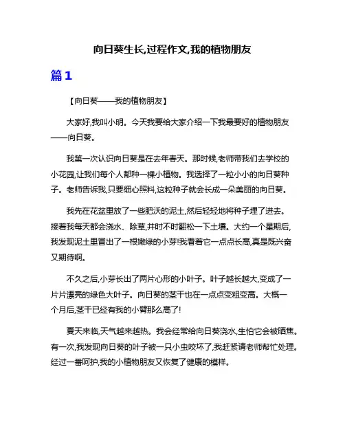 向日葵生长,过程作文,我的植物朋友