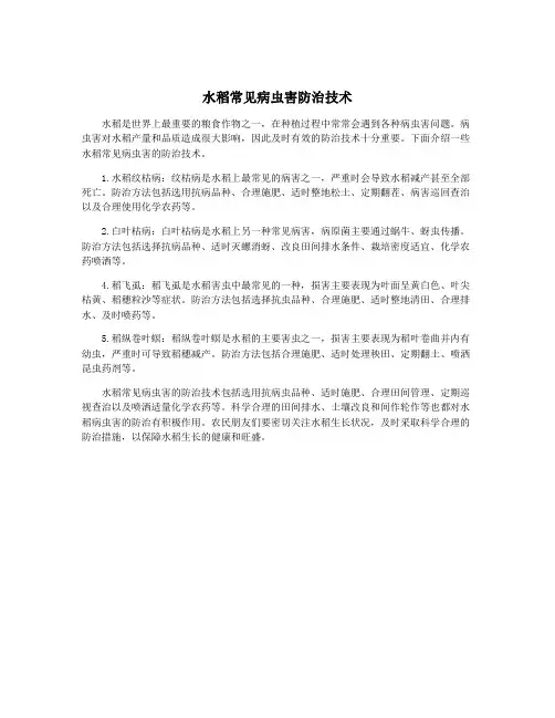 水稻常见病虫害防治技术