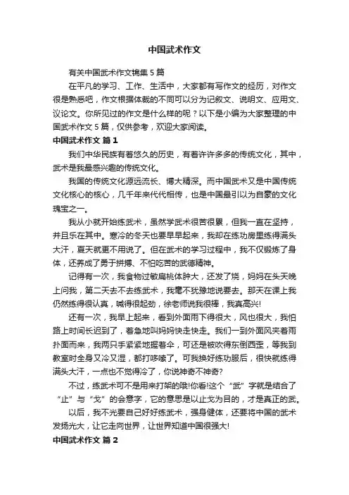 有关中国武术作文锦集5篇