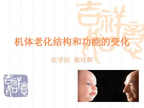 机体老化结构和功ppt课件