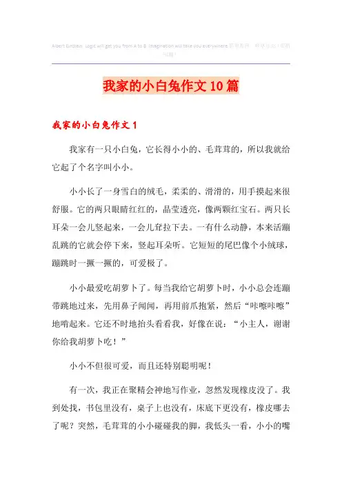我家的小白兔作文10篇