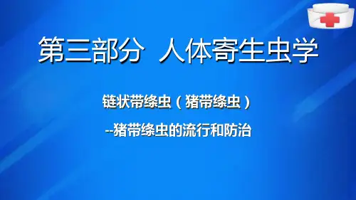 人体寄生虫学—链状带绦虫(猪带绦虫)