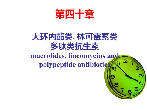 第40章-大环内酯类、林可霉素类及多肽类抗生素PPT课件