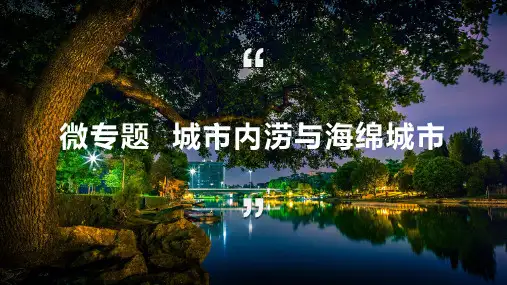 微专题 城市内涝与海绵城市(课件)2023年高考地理二轮考点