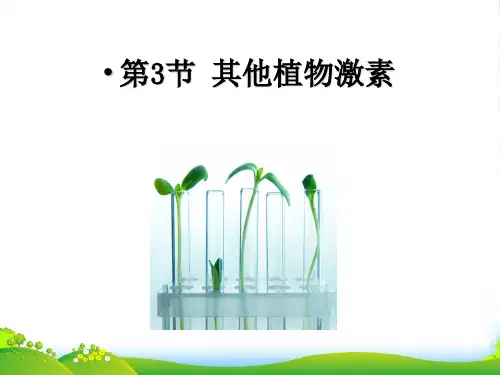 人教版高中生物必修(三)3.3其他植物激素 课件(共28张PPT)